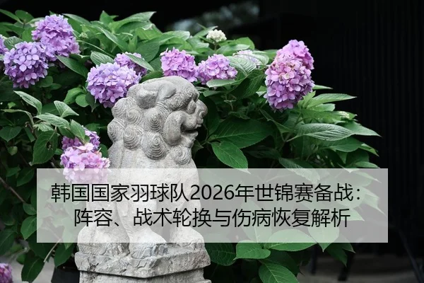 han-guo-guo-jia-yu-qiu-dui-nian-shi-jin-sai-bei-zhan-zhen-rong-zhan-shu-lun-huan-yu-shang-bing-hui-fu-jie-xi-1-854.jpg